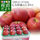 青森県より産地直送 JAつがる弘前 ふじ (有袋栽培) CA貯蔵品 約3キロ (9玉から13玉) 送料無料 りんご リンゴ 林檎