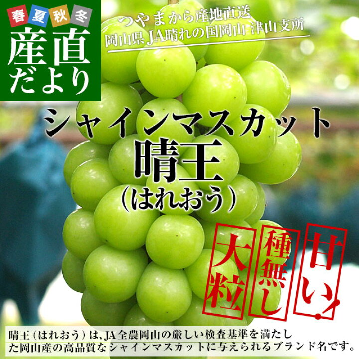 買い誠実 ふるさと納税 津山市 岡山県産 ニューピオーネとシャインマスカット 晴王 の詰合せ nzcamping.com 買い誠実 ふるさと納税 津山市 岡山県産 ニューピオーネとシャインマスカット 晴王 の詰合せ nzcamping.com