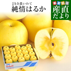 茧Yn JAS_ ď ͂邩 5L ƒp~ (16ʂ25) ь  S 