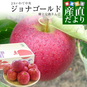 茧Yn JAĒ ㊮n񂲁uWiS[hvFȏ 2.5Li7ʂ9ʁj  ь S