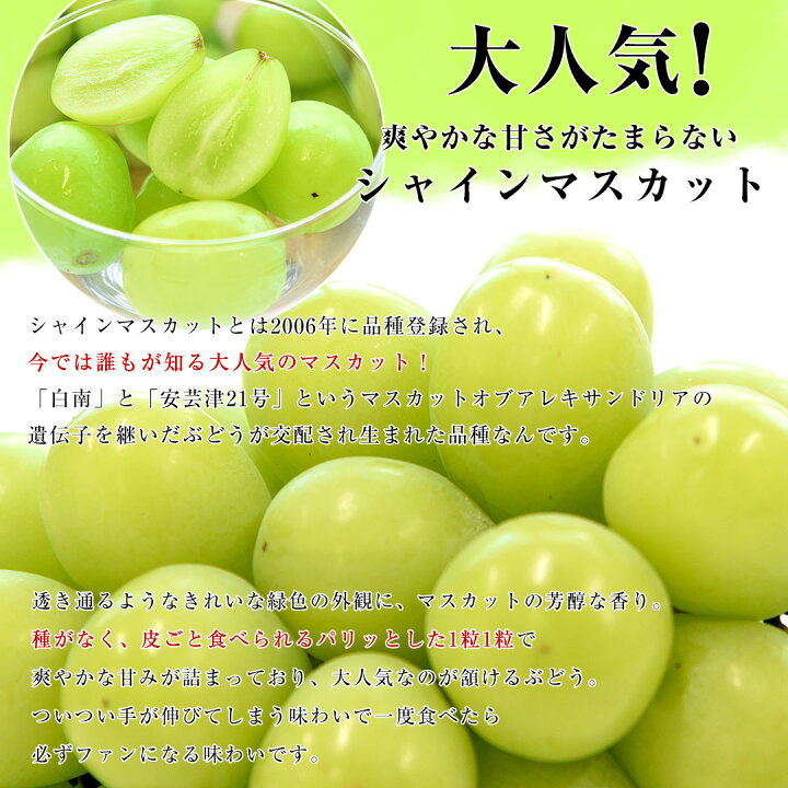 業界no 1 詰め合わせ ぶどう たねなし ブドウ 大粒 山梨 食品 岡山産 合計1 2kg
