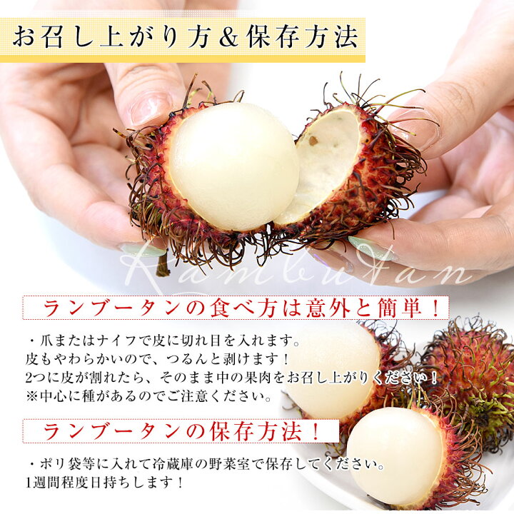 楽天市場 メキシコから直輸入 ランブータン 約1キロ トロピカルフルーツ 送料無料 クール便 産直だより