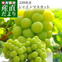 長野県産 シャインマスカット　約1キロ（2房）送料無料 ぶどう ブドウ 種なしぶどう 市場発送 