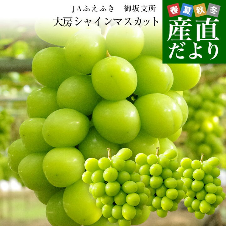 楽天市場】山梨県産 JAふえふき 御坂支所 シャインマスカット 大房限定 