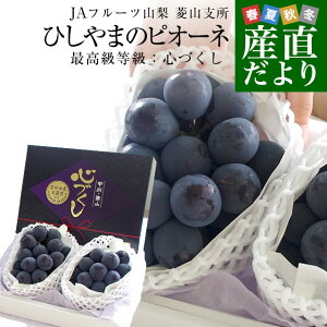 RYn JAt[cREHRx Ђ܂̃sI[l ōFSÂ 1.3L(650g×2[)  N[