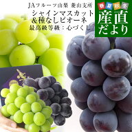 山梨県より産地直送 JAフルーツ山梨菱山支所 シャインマスカット&種なしピオーネ 最高級等級心づくし 約1…