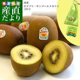 楽天市場 キウイフルーツ フルーツ 果物 食品 の通販