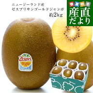 ニュージーランド産 ゼスプリ・サンゴールドキウイ「ジャンボサイズ」 約2キロ（12玉入り）送料無料 キウ…