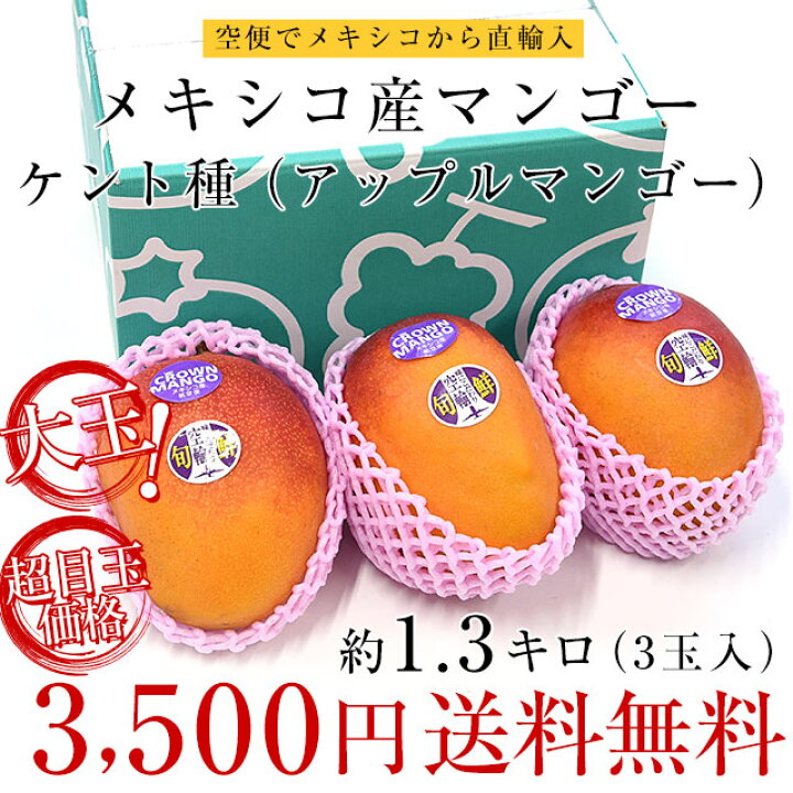 楽天市場 メキシコ産 マンゴーケント種 約1 ３キロ 3玉入り 送料無料 クール便 まんごー アップルマンゴー 市場発送 産直だより