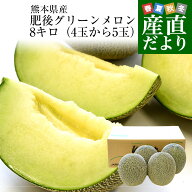 熊本県産 JAやつしろ他 肥後グリーンメロン 優品以上 超盛り 8キロ前後 (4玉から5玉) めろん 市場スポッ…