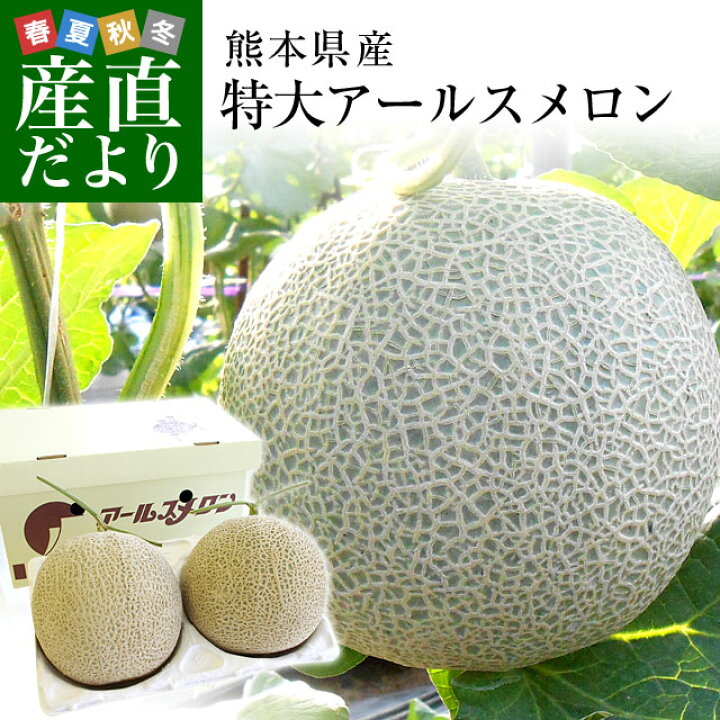 ≪超目玉☆12月≫ アールスメロン 1玉入り 熊本産 マスクメロン 化粧箱 rmladv.com.br ≪超目玉☆12月≫ アールスメロン 1玉入り 熊本産 マスクメロン 化粧箱 rmladv.com.br