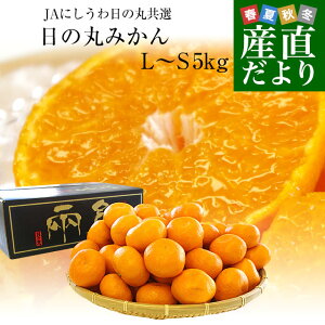 yΕ MtgzQYn JAɂ ̊ۂ݂ 痼 LSTCY 5L(40ʂ60)   ~J