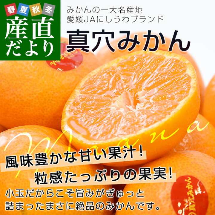 人気 おすすめ 産直だより愛媛県 Jaにしうわ 真穴みかん 約2 8キロ 1 4キロ 2袋 Ssサイズ 送料無料 ミカン 蜜柑 まあなみかん 愛媛みかん 市場発送 Cfc Com Do