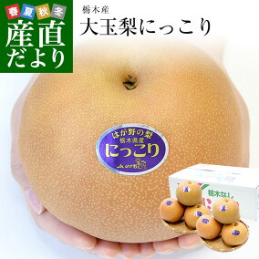 楽天市場 和梨 人気ランキング1位 売れ筋商品