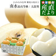 長野県 JAみなみ信州 高糖度梨 糖度14度以上 南水 (最高等級：太鼓判) 約2キロ (5玉から6玉) 送料無料 梨…
