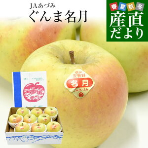 長野県産 JAあづみ 安曇野 ぐんま名月(めいげつ) 約3キロ (8玉から10玉) 送料無料 りんご 林檎 市場発送