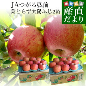 青森県より産地直送 JAつがる弘前 葉とらず太陽ふじりんご 糖度13度以上 約3キロ×2箱（8玉から13玉×2箱） 送料無料 林檎 サンフジ 津軽