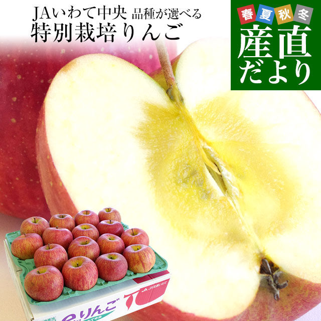 岩手県より産地直送 JAいわて中央 皮ごとまるごと！特別栽培りんご 5キロ (14玉から25玉) 林檎 リンゴ 送料無料