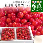 山形県より産地直送 さくらんぼ「紅秀峰」秀品　2Lサイズ　約1キロ（500g×2） 送料無料 クール便　サクランボ　桜桃