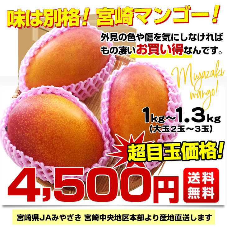 破格値下げ】 宮崎県産 完熟マンゴー 訳あり 生食可 加工にも３キロ