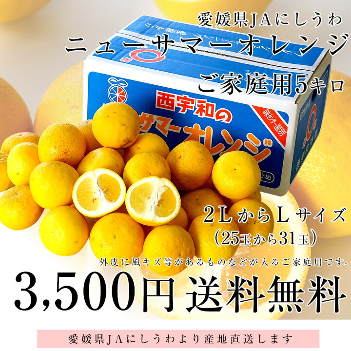 楽天市場】愛媛県より産地直送 JAにしうわ ニューサマーオレンジ ご 