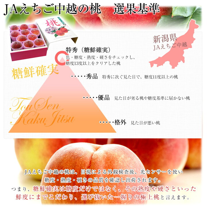 楽天市場】新潟県より産地直送 JAえちご中越 にいがたの特秀桃「糖鮮 桃薄紫地 ご確認用