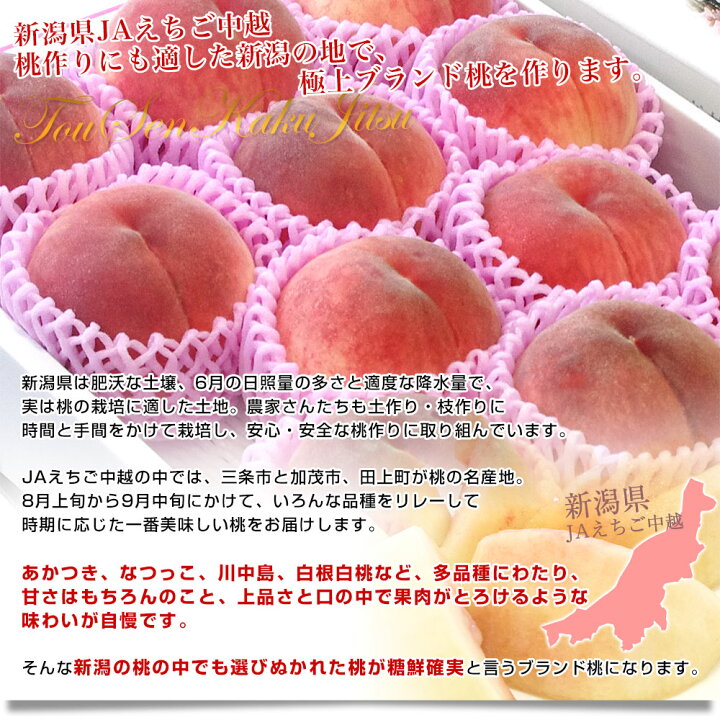 桃薄紫地 ご確認用