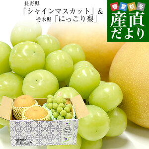 쌧 uVC}XJbgv 1[(500g)Ȗ، uɂ藜v 2(1L) Zbg  Ԃǂ Ȃ N[