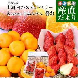 栃木県 JAうつのみや「上河内のスカイベリー」 大粒厳選 約560g (5粒から9粒×2P) ＆静岡県 JAみっかび 三ヶ日みかん「青島誉れ」（冷風貯蔵）希少な小玉 MからSサイズ 秀品 約1.2キロ 送料無料 フルーツギフト