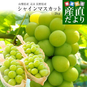 R  쌧Y VC}XJbg@2Li4[j Ԃǂ uhE ȂԂǂ  N[