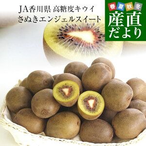 쌧Yn JA쌧 LECt[c ʂGWFXC[g 2.2L i24ʂ28ʁj LECt[c 