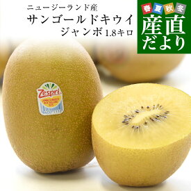ニュージーランド産 ゼスプリ・サンゴールドキウイ「ジャンボサイズ」 約1.8キロ（12玉入り） 送料無料　キウイフルーツ