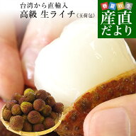 台湾から直輸入 高級 生ライチ 《玉荷包(ぎょっかほう)》 約800g(25玉から35玉前後) 送料無料 トロピカル…