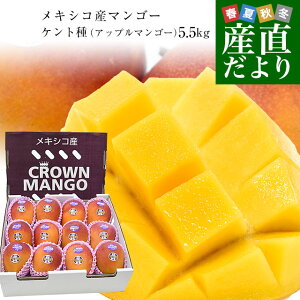 ���L�V�R�Y �A�b�v���}���S�[ (�P���g��) ��5.5�L�����̔� (12�ʂ���14�ʓ���) �������� �N�[���� �܂񂲁[ �}���S�[