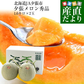 北海道より産地直送 JA夕張市 夕張メロン 秀品 2玉(1.6キロ×2玉) 送料無料ゆうばり 夕張キング めろん