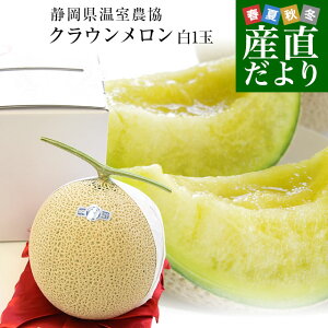 ÉYn É_ NE Mtgpϔiȏ 1 1.2L)  ߂ 炤