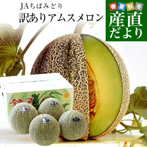 ���i�摜