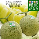 茨城県産　JA茨城旭村 アールスメロン 糖度13度以上　約3キロ （大2玉） 送料無料 めろん ギフト 夏ギフト お中元 御中元