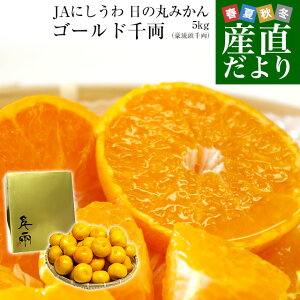 QYn JAɂ ̊ۃv~A݂ S[h痼i痼jMSTCY5Li50ʂ60ʑOj ~JΕ Ε Mtg
