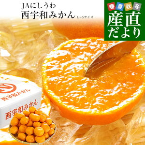 QYn JAɂ Fa݂ LSTCY 5L (4060)  ~J 