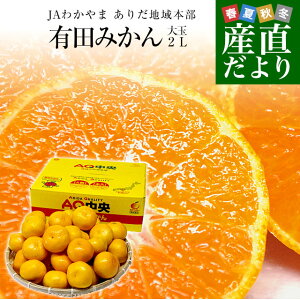a̎RYn JA肾 Lc݂  2LTCY 4.5L(30ʑO)   ~J Ε Ε