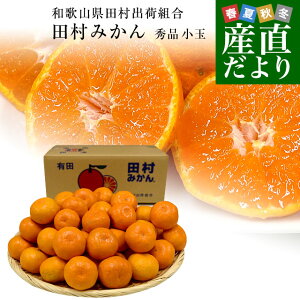 a̎RYn coבg c݂iB݂j Gi 2STCY 5Li70ʑOj Lc k