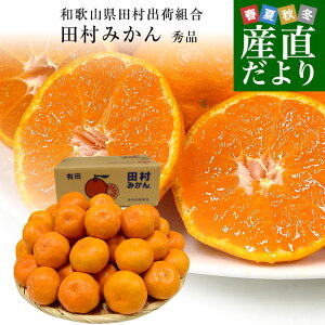 a̎RYn coבg c݂iB݂j Gi LSTCY 5Li40ʂ60ʑOj Lc k