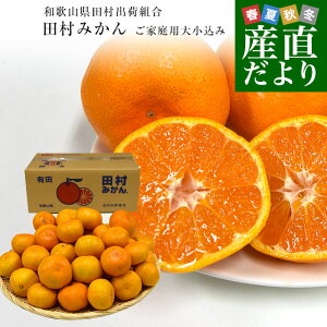 a̎RYn coבg c݂iB݂j ƒp5Li召݁j  Lc k