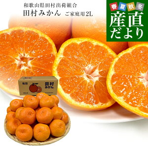 a̎RYn coבg c݂iB݂j ƒp 2LTCY@5L(30ʑO)  Lc k