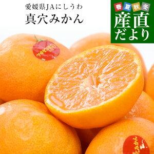 【お歳暮 ギフト】愛媛県産 JAにしうわ 真穴みかん 約2.8キロ(1.4キロ×2袋) LからSサイズ 送料無料 ミカン 蜜柑 愛媛みかん 市場発送