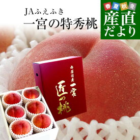 送料無料　山梨県より産地直送　JAふえふき 一宮支所　一宮の特秀桃　プレミアム　約1.5キロ　6玉入　もも　お中元ギフト