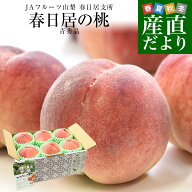 山梨県産 JAフルーツ山梨 春日居支所 春日居の桃 青秀品 約1.8キロ(6玉) 送料無料 もも モモ ピーチ ギフ…