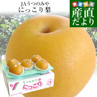 栃木県より産地直送 JAうつのみや にっこり梨 優品 5キロ (5玉から6玉) 送料無料 なし 梨 ナシ