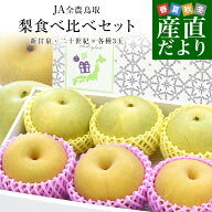 鳥取県産 JA全農鳥取 梨食べ比べセット 約1.8キロ 6玉入り(新甘泉、二十世紀×各種3玉）送料無料 なし 赤…